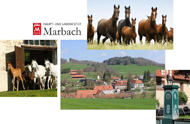 landgestuet marbach derby community collage